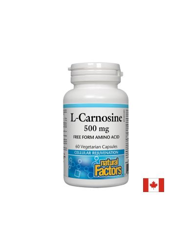 L-Carnosine/ Л-Карнозин 500 mg х 60 капсули Natural Factors