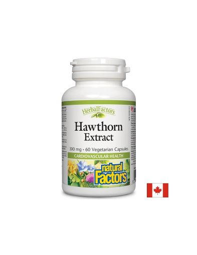 Глог екстракт 300 мг | Hawthorn Extract | Natural Factors, 60 капсули