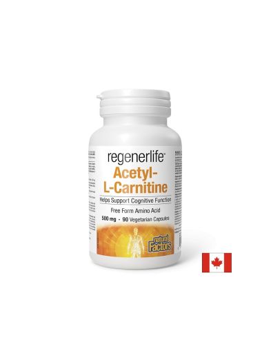 Ацетил Л - Карнитин 500 мг | Acetyl L - Carnitine | Natural Factors, 90 капсули