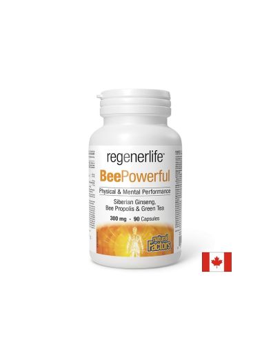 Пчелен прашец, прополис, сибирски женшен, зелен чай | Bee propolis Siberian Ginseng Green Tea | Natural Factors, 90 капс.