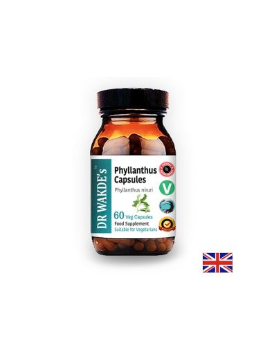 Филантус (Phyllanthus) - при заболявания на черния дроб и далака, подагра, 60 капсули