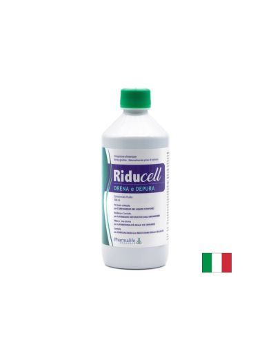 Бреза, Зелен чай и Центела – Дренаж и детокс, 500 ml