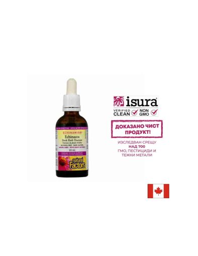  Тинктура с ехинацея (без алкохол) | Echinamide® | Natural Factors, 50 мл