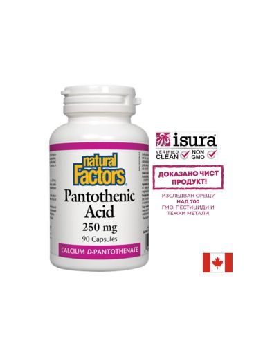 Pantothenic Acid - Пантотенова киселина / Витамин В5 (калциев д-пантотенат), 250 mg, 90 капсули Natural Factors
