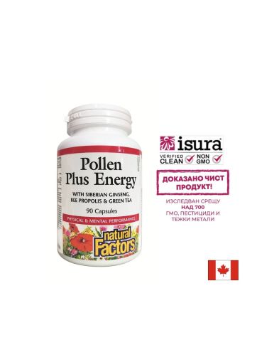 Пчелен прашец с Прополис, Сибирски женшен и Зелен чай | Pollen Plus Energy | Natural Factors, 90 капс.