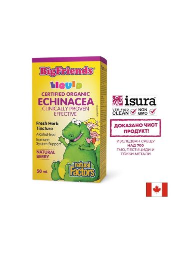 Ехинацея за деца и възрастни 1000 мг | Echinacea | Natural Factors, 50 мл