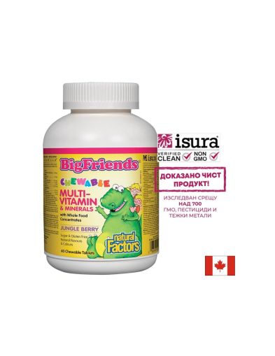 Мултивитамини и минерали за деца  | MultiVitamin & Minerals Big Friends | Natural Factors, 60 дъвч. табл.