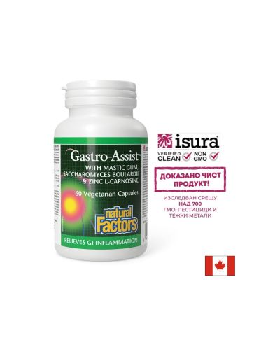 Мастикс, цинков карнозин и лайка |  Gastro Assist™ | Natural Factors, 60 капсули