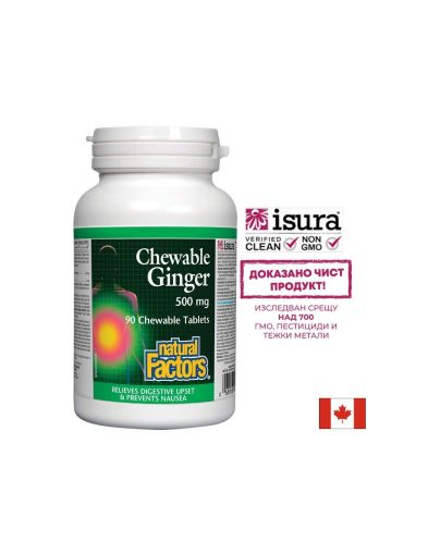  Джинджифил 500 мг | Ginger Chewable | Natural Factors, 90 дъвч. таблетки