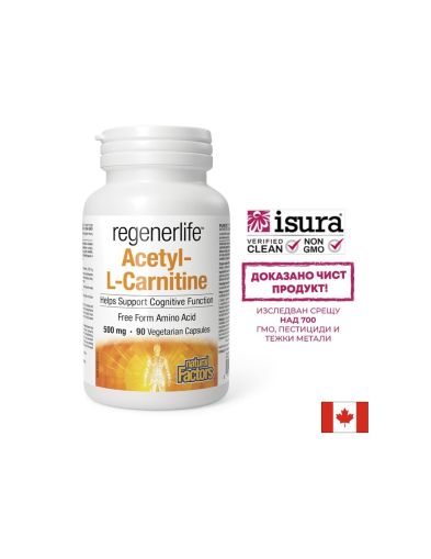 Ацетил Л - Карнитин 500 мг | Acetyl L - Carnitine | Natural Factors, 90 капсули