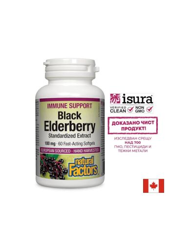Черен бъз екстракт 100 мг | Black Elderberry Extract | Natural Factors, 60 софтгел