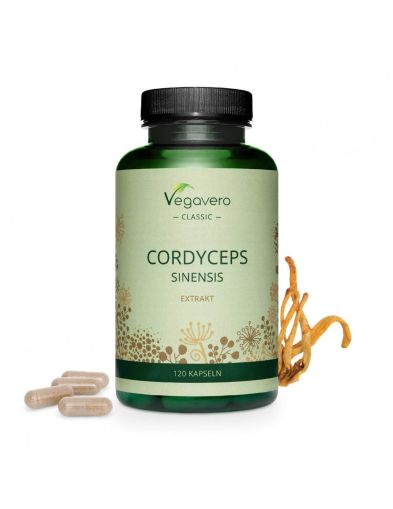 Кордицепс Екстракт 500 мг | Cordyceps Sinensis Extrakt | VegaVero, 120 капс. 