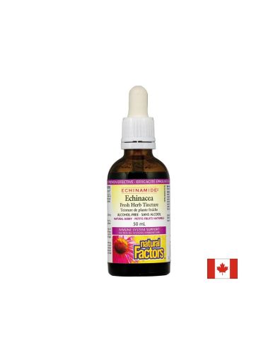 Простуда и грип Echinamide® - Тинктура с ехинацея, 50 ml (без алкохол) Natural Factors