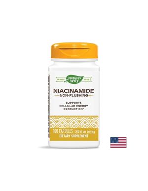 Ниацинамид  500 мг | Витамин Б3 | Niacinamide | Nature’s Way, 100 капс.