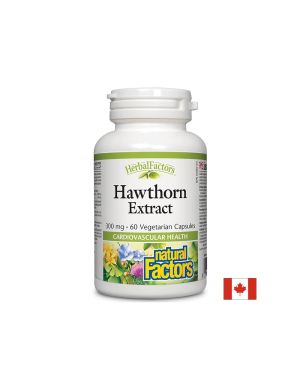 Глог екстракт 300 мг | Hawthorn Extract | Natural Factors, 60 капсули