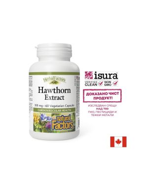 Глог екстракт 300 мг | Hawthorn Extract | Natural Factors, 60 капсули