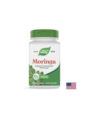 Моринга (лист) – Нормализира кръвната захар, холестерола и сърдечната функция, 400 mg, 120 веган капсули