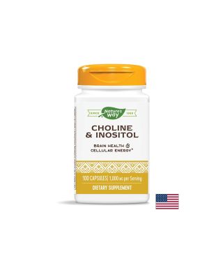 Холин и инозитол 500 мг | Choline & Inositol | Nature’s Way, 100 капс.