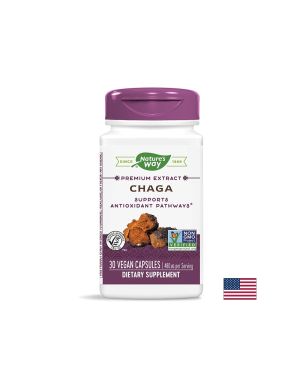 Гъба Чага Екстракт 480 мг | Chaga | Nature’s Way, 30 капс.