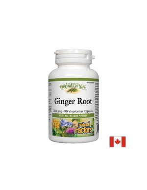 Ginger Root/ Джинджифил (корен) 450 mg х 90 капсули Natural Factors