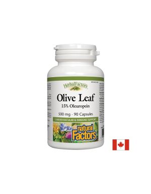 Olive Leaf / Маслина (лист) 500 mg х 90 капсули Natural Factors